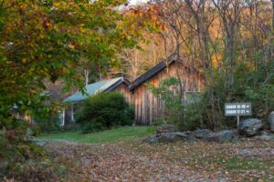 Cabins with Signage and Foliage
